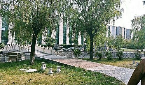 會計專業(yè)課程怎么樣？   