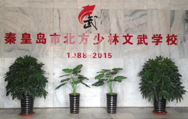 秦皇島北方少林文武學(xué)校就業(yè)如何？這答案你放心！