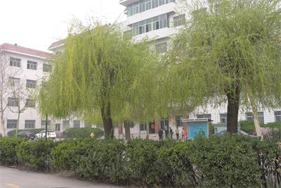 在保定去哪里學習鐵路乘務(wù)專業(yè)？   