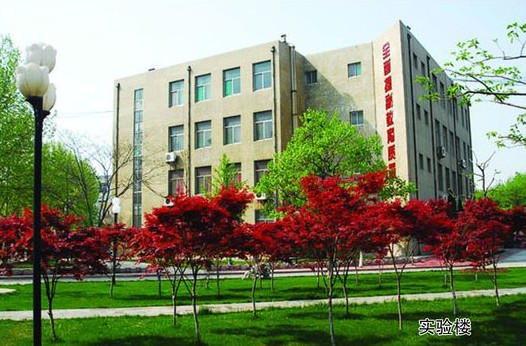 淄博市工業(yè)學(xué)校開設(shè)哪些計(jì)算機(jī)課程？