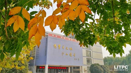 洛陽學(xué)電子商務(wù)去哪里？學(xué)電子商務(wù)去洛陽哪所學(xué)校？