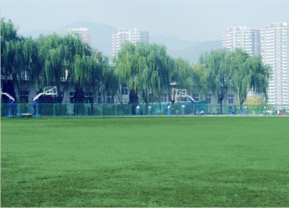青島滿天星職業(yè)培訓(xùn)學(xué)校怎么樣？