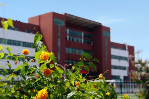 會計專業(yè)都學什么專業(yè)課程？
