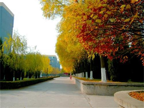 北京現(xiàn)代體育學(xué)院、航空乘務(wù)學(xué)院設(shè)施好嗎？