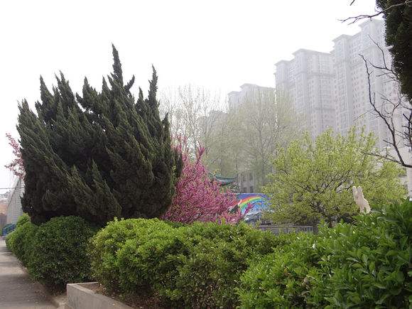 煙臺(tái)天虹學(xué)院怎么樣？