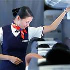 航空服務(wù)（票務(wù)、安檢方向）、航空乘務(wù)定向委培